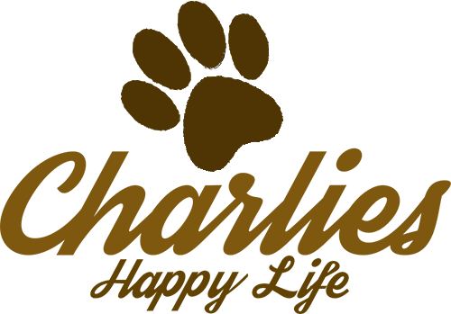 Charlies Happy Life